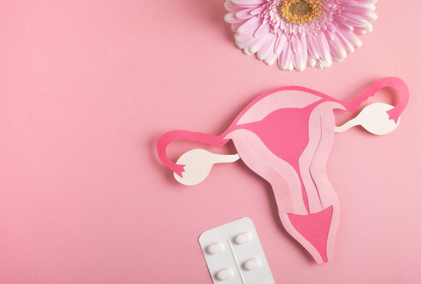 Much More Than a Matter of Uterus! (Part 1)