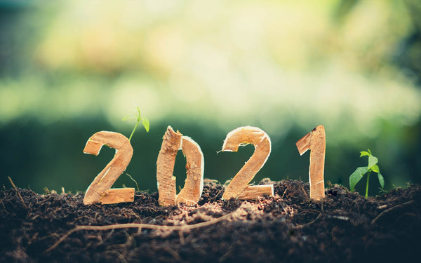 L’année 2021 : les défis de la science