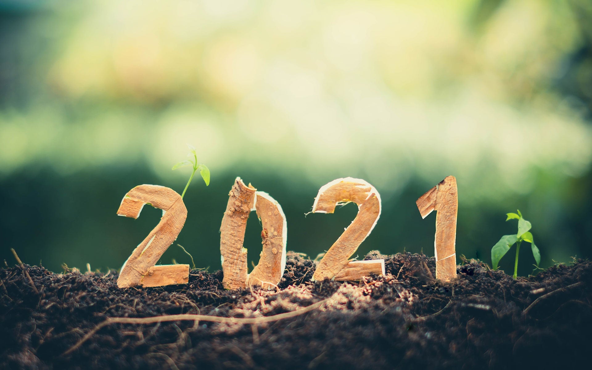 The Year 2021: The Challenges of Science