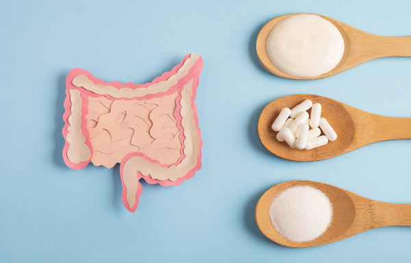 Probiotics and Prebiotics; What Makes Them Different?