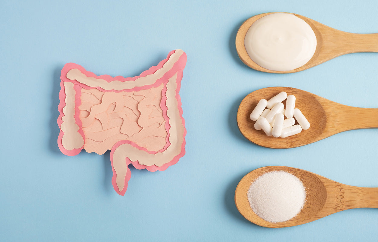 Probiotiques et prébiotiques; qu’est-ce qui les différencie?