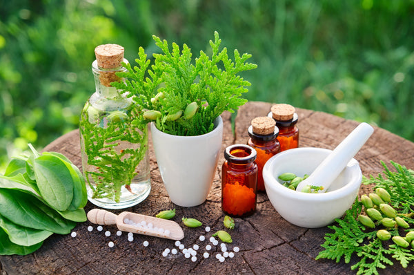 La naturopathie; une profession à découvrir!