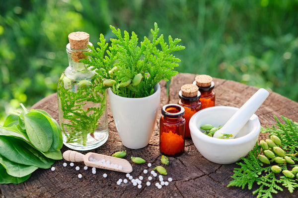 Naturopathy; a Profession To Discover!