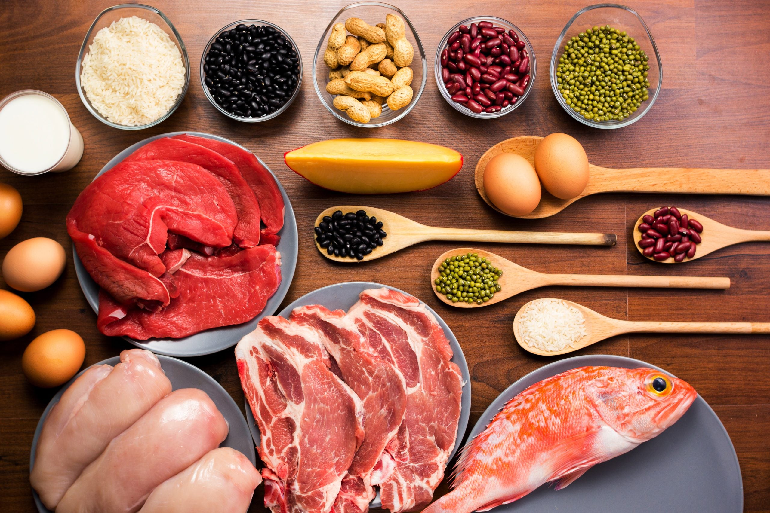 Protein Intake: Article 2