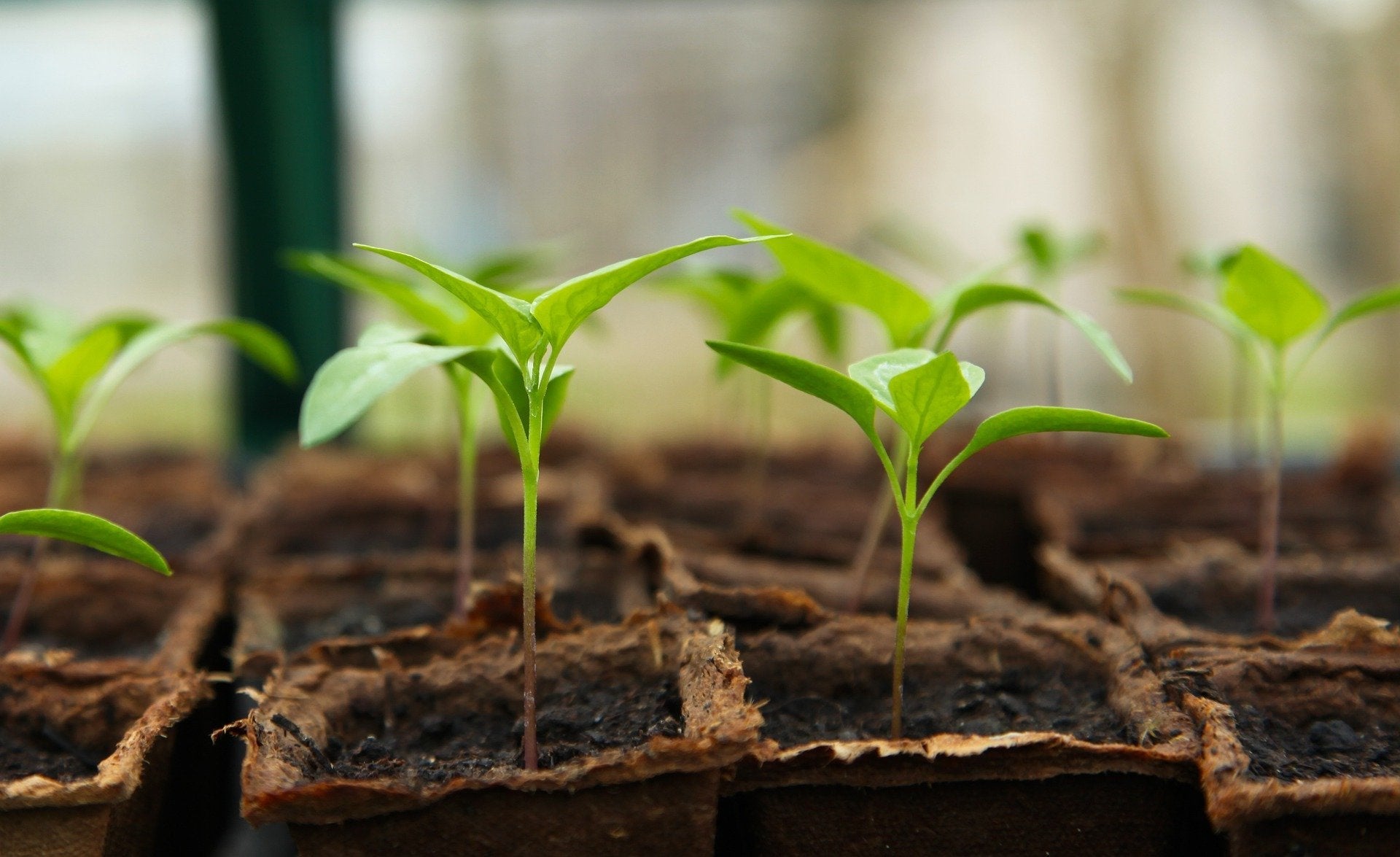 Produits Naturels : et si l’on vous disait la vérité ?