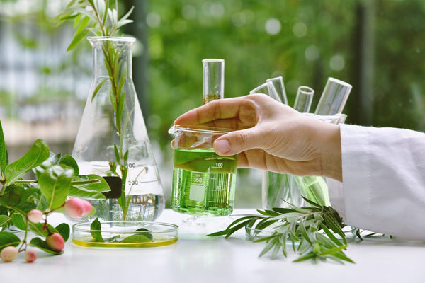 Combattre le vieillissement avec des plantes; nouveau brevet canadien