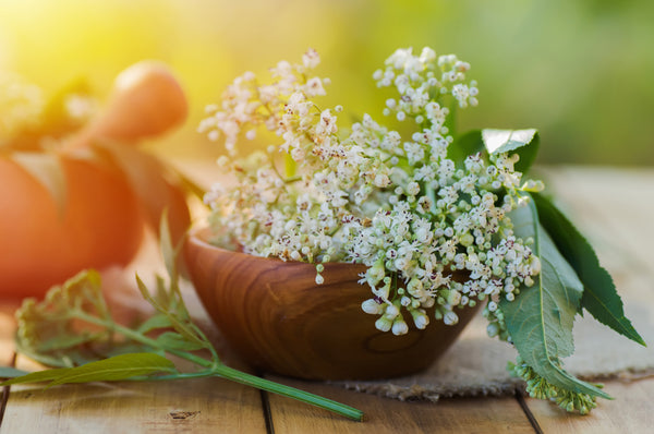 Valerian; Sleep, Stress and Anxiety