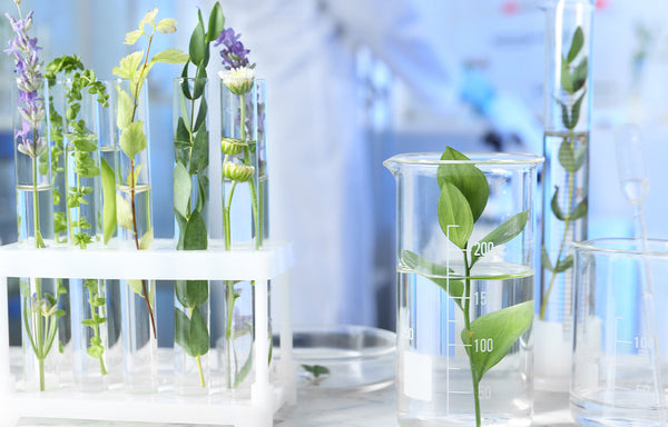 La valeur d’un produit de santé naturel