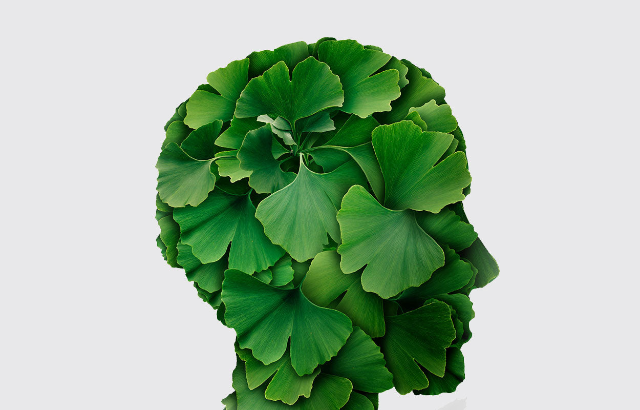Maintenir une santé cognitive de manière naturelle