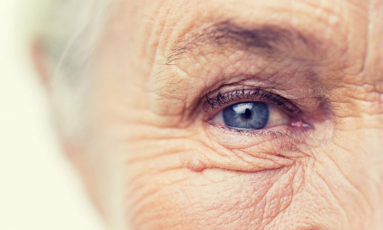 Gros plan sur un oeil d'une personne âgé