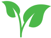 Superior quality Icon of a leaf