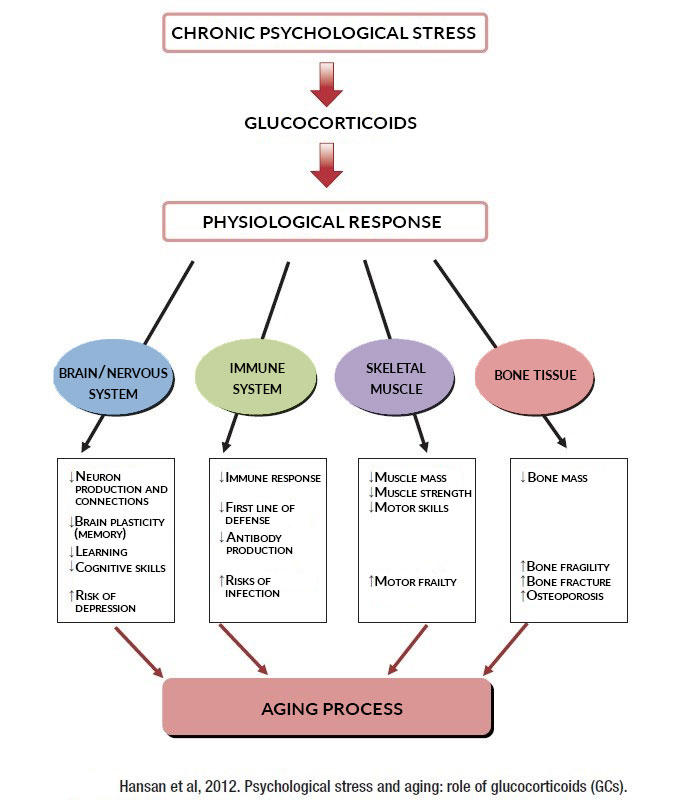 chronic psychological stress graphic