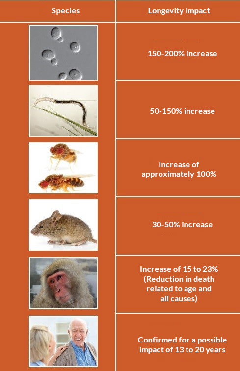 Tableau les impacts de longévité en anglais