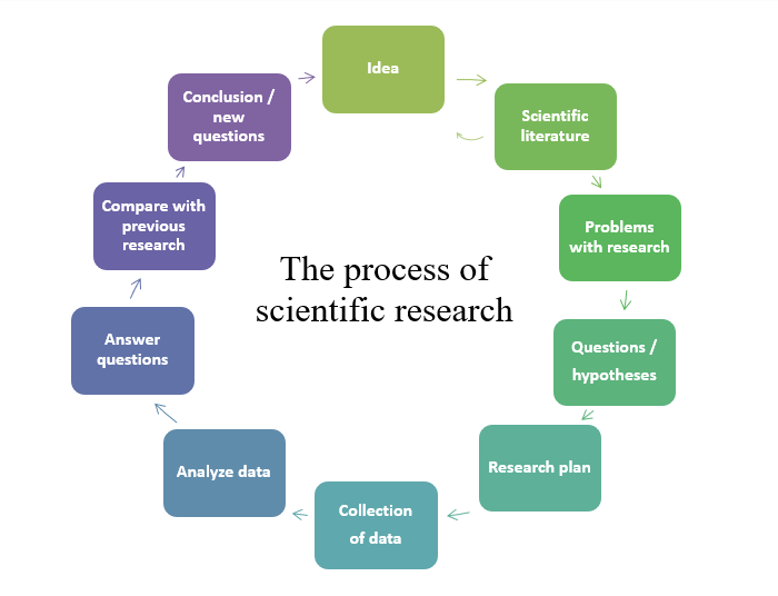 7 steps of the scientific research