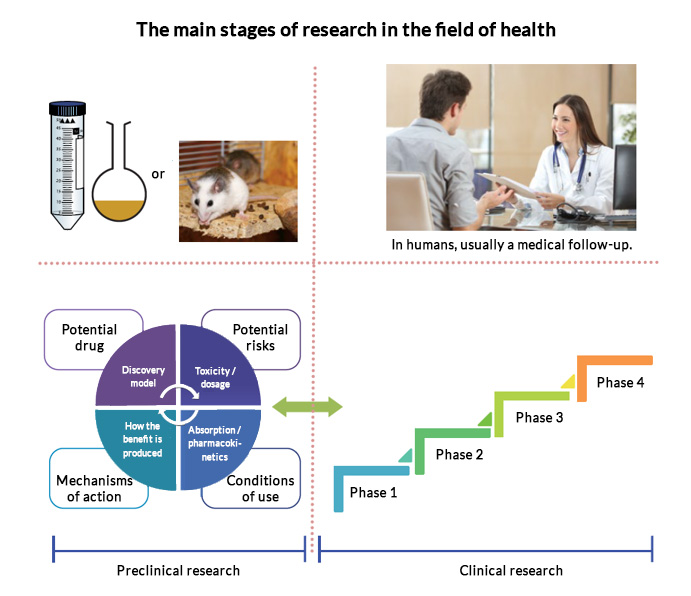 steps in health research